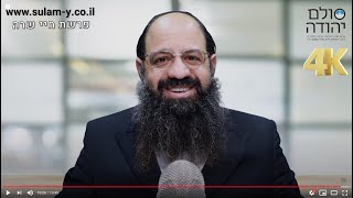 פרשת חיי שרה באור החסידות | הרב שקד אליהו פנחס | מייסד מרכז סולם יהודה | ע"ש ר' יהודה לייב הלוי אשלג