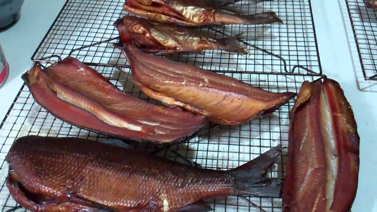 i am smoking whitefish northern pike and rainbow trout yum yum yum youtube i am smoking whitefish northern pike and rainbow trout yum yum yum youtube