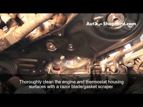 How To Install A Timing Chain Cover Seal