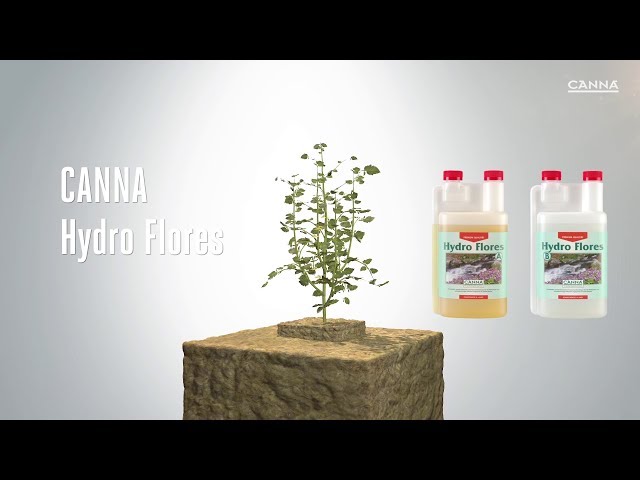 Watch (Deutsch) CANNA Hydro Flores on YouTube.