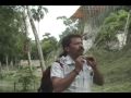 Maya Civilization Agriculture | RM. Maya Civilization Agriculture | RM.