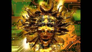 Watch Shpongle The Stamen Of The Shamen video