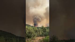 Fena Yangın Var Yer Karabük Safranbolu Yolu