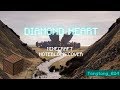Alan Walker - Diamond Heart (feat. Sophia Somajo) | Minecraft Note Block Cover
