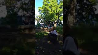 DESAHAN DI HUTAN