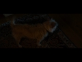 Final Scene Seeking A Friend For The End Of The ...
