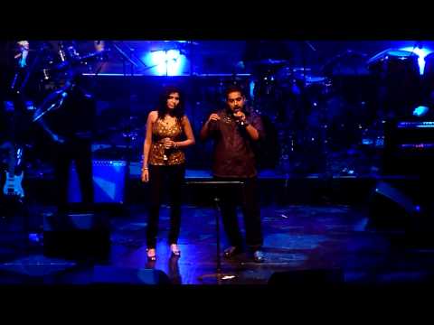 SEL - Tere Naina (Live) (Film: Chandni Chowk To China)