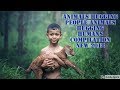 Animals Hugging People Animals Hugging Humans Compilation New 2018 HD
