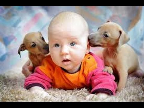 видео приколы дети видео приколы дети