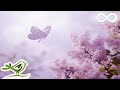 Always: Relaxing Piano Music, Romantic Music, Beautiful Music, Soothing Sleep Music, Relaxing Music