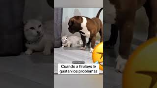 Así De Simple