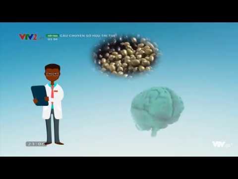 Rối loạn tuần hoàn não và phương pháp chữa trị