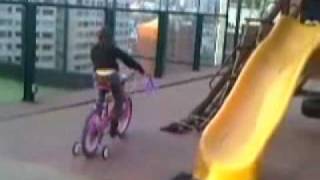 Paulette Gebara Farah Antes De Morir