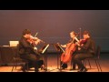 Haydn String Quartet, Op20-3 in g (4th mov.)
