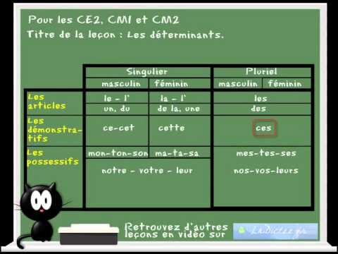 Cours leçon de français - les determinants www.ladictee.fr ...
