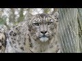 Marwell Zoo Trip - (December 2017)