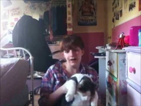 Daydreaming by Paramore (lipdub)