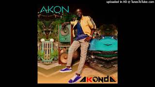 Watch Akon Boogie Down video