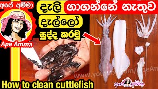 How to clean cuttlefish (dallo) by Apé Amma