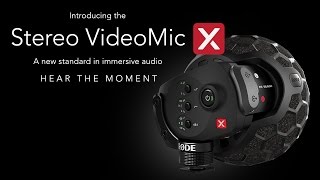 Introducing the new Stereo VideoMic X