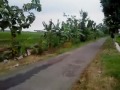 Jupiter 125cc Vs Smash 150cc 2 images Jupiter 125cc Vs Smash 150cc 2