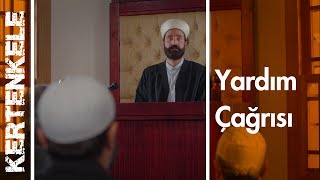 Sokak Hayvanlarına Yardım Çağrısı - Kertenkele