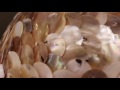 9 Binaural Asmr Triggers To Keep You Tingling 9 Binaural Asmr Triggers To Keep You Tingling