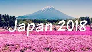 My Japan Trip! -Amazing Things To Do In Japan!