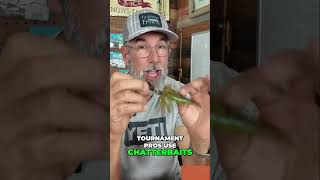 Underrated Inshore Lure The Chatterbait