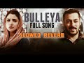 Bulleya | Salman Khan X Anushka Sharma | Sultaan | Popin X Vishal | Latest Songs 2024 | Bollywood |