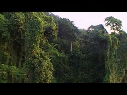 Kalapani Black Water The first Expedition to Andaman & Nicobar...