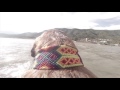 Search For Skills Paddle Board Search For Skills Paddle Board