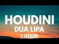 Dua Lipa - Houdini [1 HOUR LOOP]