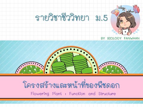 Ep. 4 โครงสร้างและหน้าที่ของใบพืช (leaves structure) ชีววิทยา ม. 5