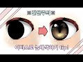폰그림 간단하고 쉽게 눈알(?) 채색하기!/이비스/폰그림 눈채색/야매 팁