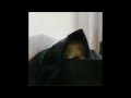 view Corpse Master