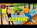 Ms. Traveller - Kalawana