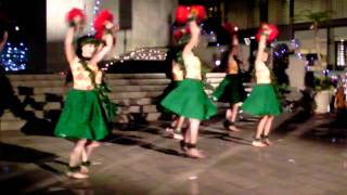hanahana HULA HO'IKE 2010 p9
