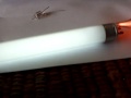 SEC--- FLICKER FLAME!!