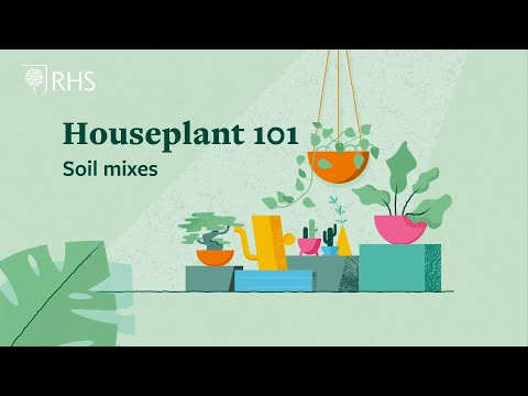Soil Mixes | Houseplant 101 | Royal Horticultural Society