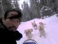 DOG SLEDDING with GuiL Claveria SHOT on CAMERA PHONE in MONTANA default DOG SLEDDING with GuiL Claveria SHOT on CAMERA PHONE in MONTANA