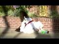 List of Martial Arts - Togo List of Martial Arts - Togo