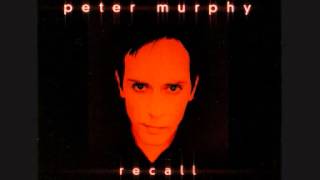 Watch Peter Murphy Big And Tiny Live video