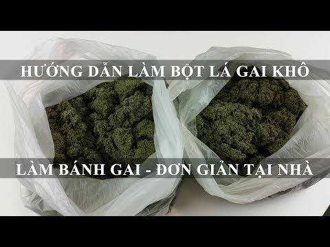 LÀM BỘT LÁ GAI KHÔ - toan trinh cook