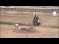 Residents flee air strikes on Syrian border town