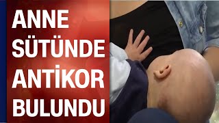 Koronavirüse Karşı Anne Sütü
