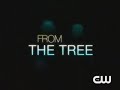 One Tree Hill - Official Season 7 Promo (#1 . Dan - Redemption Is Never Far From The Tree)