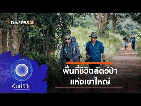 พื้นที่ชีวิตสัตว์ป่าแห่งเขาใหญ่ : พื้นที่ชีวิต (23 ต.ค. 63)