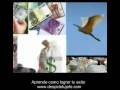 Como hacer mi propio negocio, negocios prosperos, ideas de negocio innovadoras TONY MATEI 5