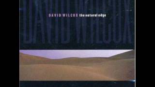 Watch David Wilcox Pop Out World video